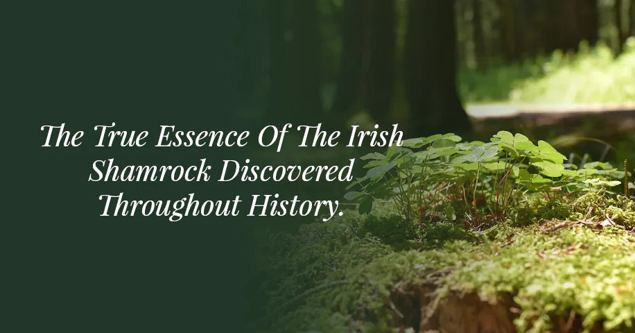 The True Essence of The Irish Shamrock Discovered Throughout History.